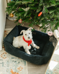 Load image into Gallery viewer, Chester & Lee | Fancy Corduroy Sleeper Dog Bed Graphite - image 3