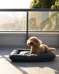 Load image into Gallery viewer, Chester & Lee | Waterproof Lounger Dog Bed Gray
