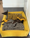 Load image into Gallery viewer, Bolster Beds Premium Chester & Lee | Fancy Corduroy Sleeper Dog Bed Sunny Yellow