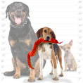 Load image into Gallery viewer, tuffy® Desert Series - Snake