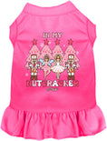 Load image into Gallery viewer, Nutcracker Era Pet Dress