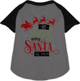 Load image into Gallery viewer, Save Santa the Trip Pet Raglan Shirt