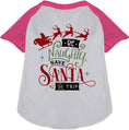 Load image into Gallery viewer, Save Santa the Trip Pet Raglan Shirt