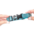 Load image into Gallery viewer, DOGISTRY City Collar - Fifth Avenue