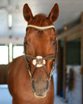 Load image into Gallery viewer, Gold Accented Figure 8 Bridle with Gold Browband