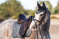 Load image into Gallery viewer, Stardust Grey Fly Hat