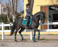 Load image into Gallery viewer, Teal Saddle Pad