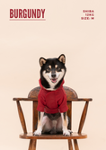 Load image into Gallery viewer, Tribeca adjustable velcro raincoat - Burgundy