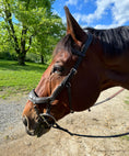 Load image into Gallery viewer, ExionPro Anti-Pressure Anatomic Jumping Raised Padded Fancy Wave Stitched Bridle - Southlake Paws