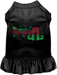 Load image into Gallery viewer, Elf Crew Christmas Pet Dress