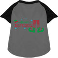 Load image into Gallery viewer, Elf Crew Pet Raglan Shirt