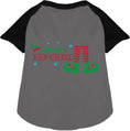 Load image into Gallery viewer, Elf Crew Pet Raglan Shirt