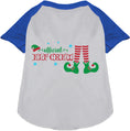 Load image into Gallery viewer, Elf Crew Pet Raglan Shirt