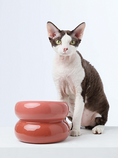 Load image into Gallery viewer, Soufflé Pet Bowl - Rose Pink