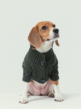 Load image into Gallery viewer, BERT CARDIGAN SWEATER - DARK GREEN