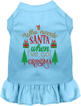 Load image into Gallery viewer, I've Got Grandma! Pet Dress