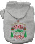 Load image into Gallery viewer, I've Got Grandma! Christmas Pet Hoodie