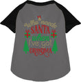 Load image into Gallery viewer, I've Got Grandma! Pet Raglan Shirt