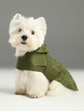 Load image into Gallery viewer, Capsule Raincoat - Green