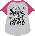 Load image into Gallery viewer, I was Framed! Pet Raglan Shirt