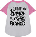 Load image into Gallery viewer, I was Framed! Pet Raglan Shirt