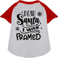 Load image into Gallery viewer, I was Framed! Pet Raglan Shirt