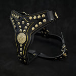 The ''Maximus'' harness V2 Medium Size