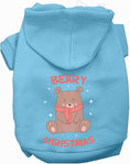 Load image into Gallery viewer, Beary Christmas Pet Hoodie