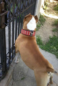Load image into Gallery viewer, The "Star" Set- collar & leash