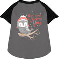 Load image into Gallery viewer, Owl I Want For Christmas Pet Raglan Shirt