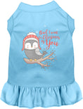 Load image into Gallery viewer, Owl I Want For Christmas Pet Dress