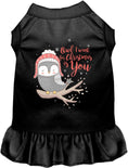 Load image into Gallery viewer, Owl I Want For Christmas Pet Dress