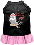 Load image into Gallery viewer, Owl I Want For Christmas Pet Dress