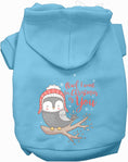 Load image into Gallery viewer, Owl I Want For Christmas Pet Hoodie