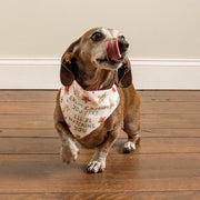 Christmas Reversible Dog Bandana