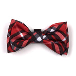 Bias Plaid Red Collar & Lead Collection