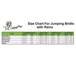 ExionPro Fancy Stitched Raised Anatomical Bridle with Rubber Reins