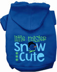 Load image into Gallery viewer, Little Mister Snow Cute Pet Hoodie
