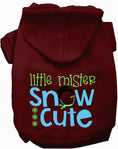 Load image into Gallery viewer, Little Mister Snow Cute Pet Hoodie