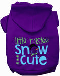 Load image into Gallery viewer, Little Mister Snow Cute Pet Hoodie