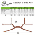 Load image into Gallery viewer, ExionPro Anatomical Combined Flash Bridle with Reins