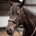 Load image into Gallery viewer, Replacement Noseband of ExionPro Fancy Stitched Raised Anatomical Bridle without Flash - Southlake Paws
