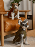Load image into Gallery viewer, Reversible Dog Vest Jacket - Orange Grey