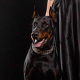 Load image into Gallery viewer, The ''Rock Python'' collar