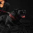 Load image into Gallery viewer, The "Balteus" red collar