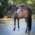 Load image into Gallery viewer, Rose Quartz FlowFlex Brushing Boots