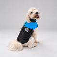 Load image into Gallery viewer, Wilderness Shield Vest