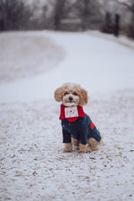 Love Note Reversible Handmade Bandana