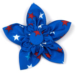 Patriotic Stars Collar & Lead Collection