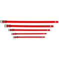 Load image into Gallery viewer, The Modern Dog Company - Ruby Red Collar (Weather + Odor Resistant)